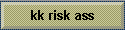 kk risk ass